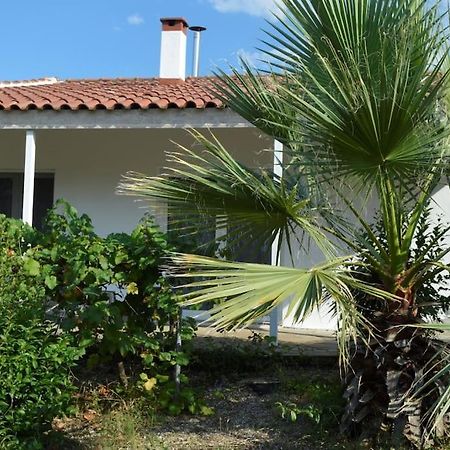 Litochoro Apartment In Estate A1 Luaran gambar