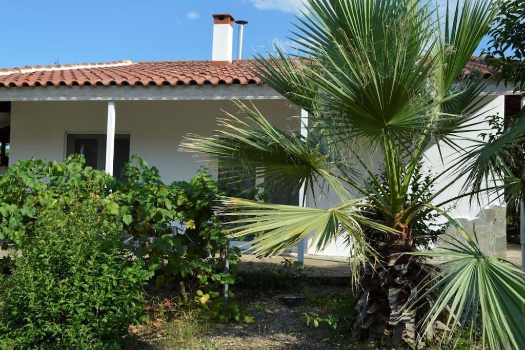 Litochoro Apartment In Estate A1 Luaran gambar