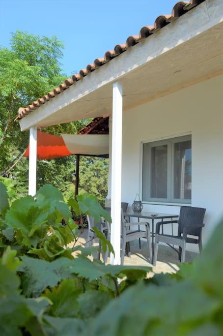 Litochoro Apartment In Estate A1 Luaran gambar