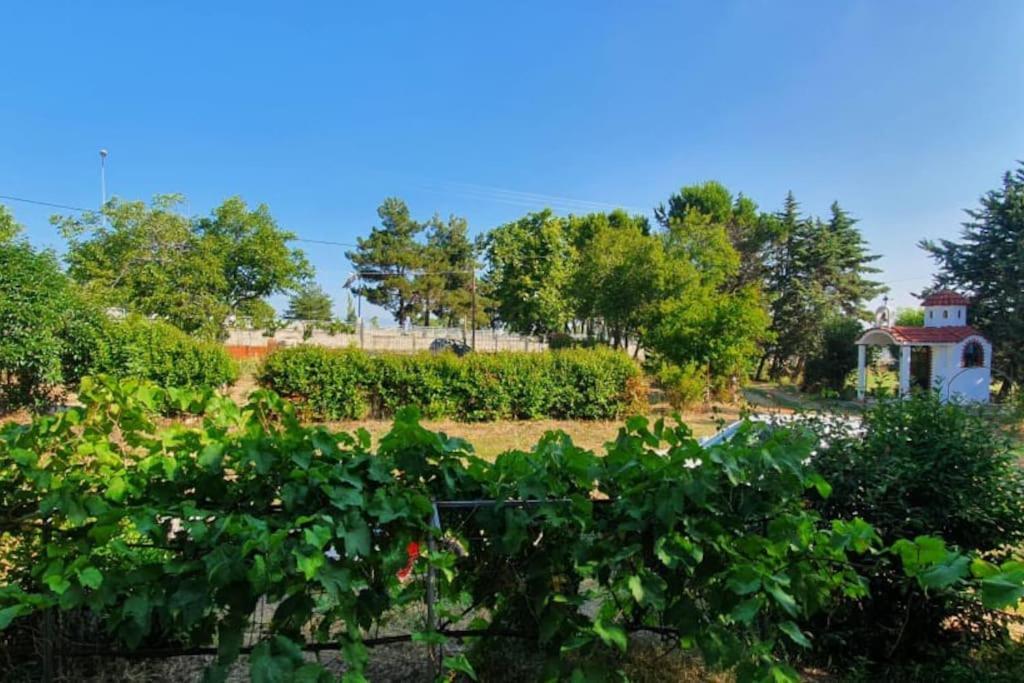 Litochoro Apartment In Estate A1 Luaran gambar